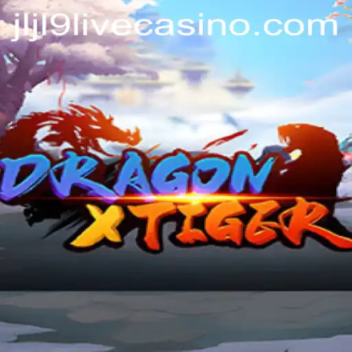 DragonXTiger: Unraveling the Mystique